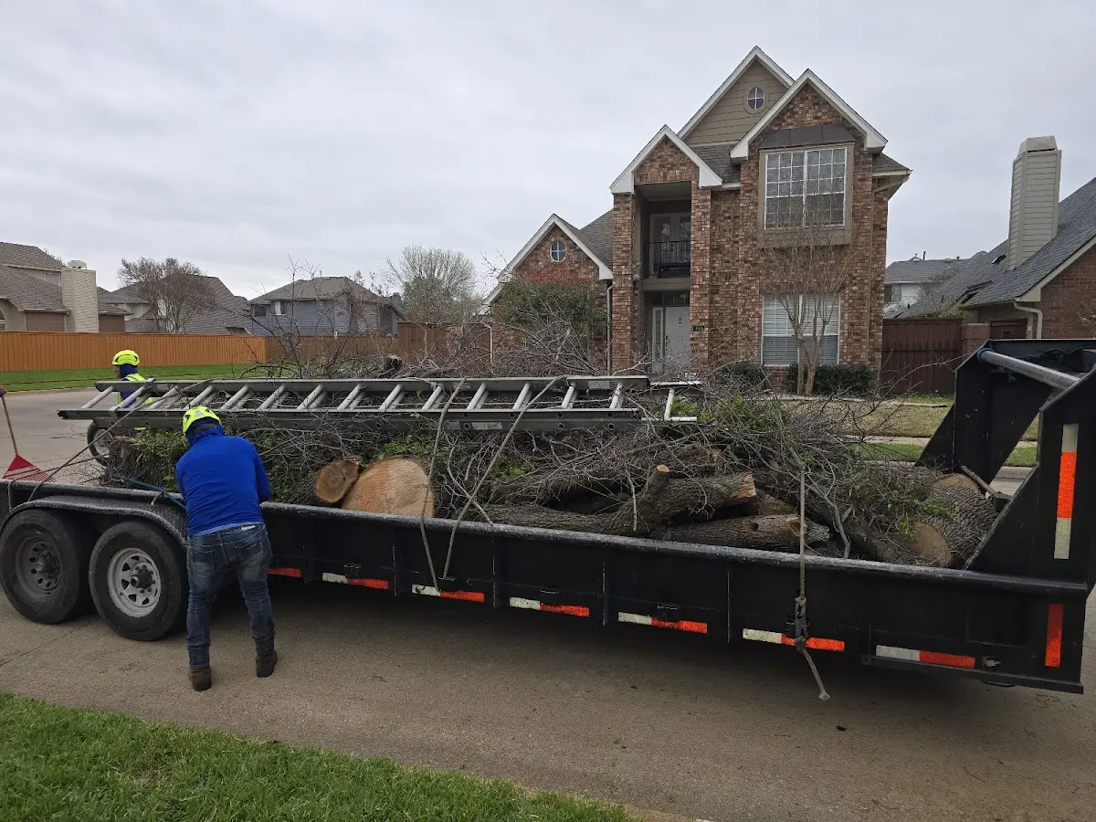 Expert Lot Clearing with proper safety equipment in Belton